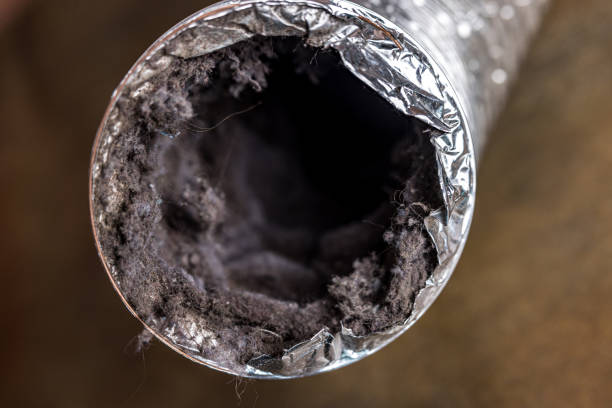 Best Emergency Air Duct Cleaning Services in South Lake Tahoe, CA